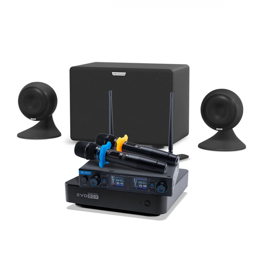 караоке-комплект EVOBOX + EvoSound Sphere 2.1 в Гатчине
