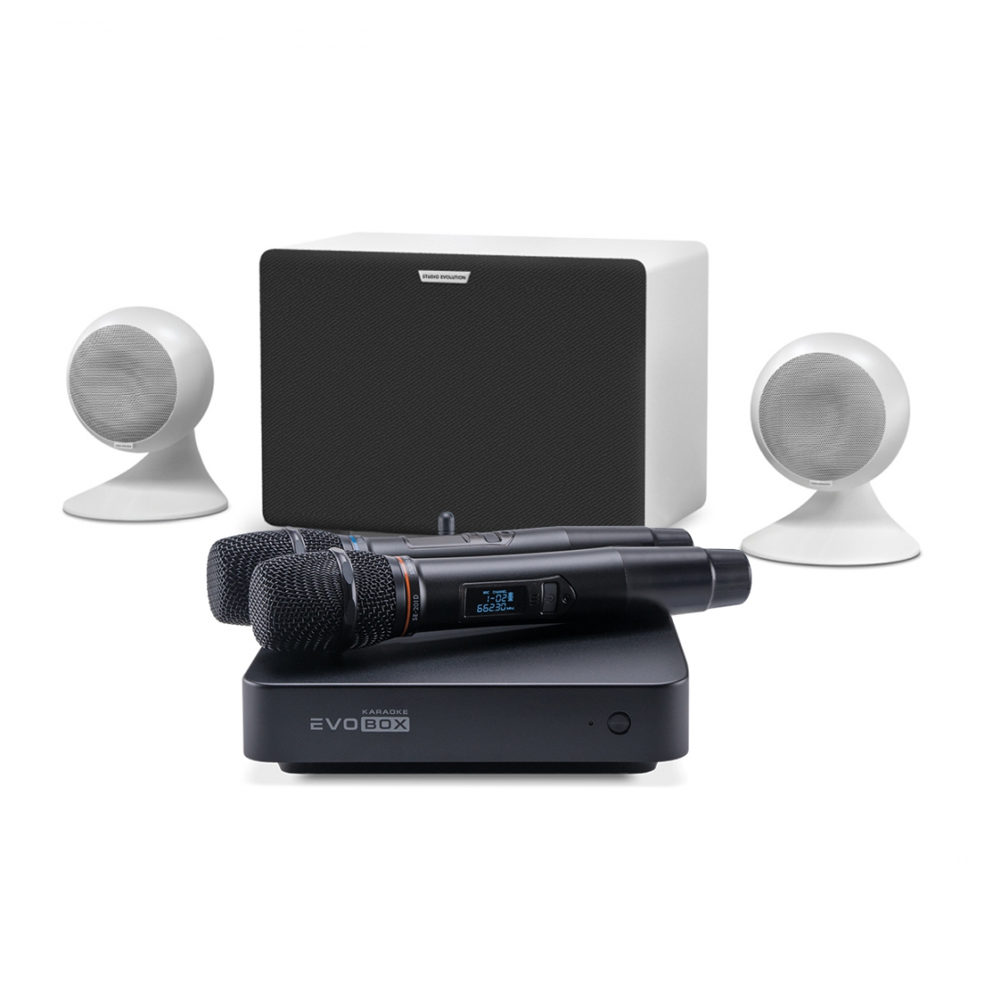 караоке-комплект EVOBOX Classic + EvoSound Sphere 2.1 в Гатчине