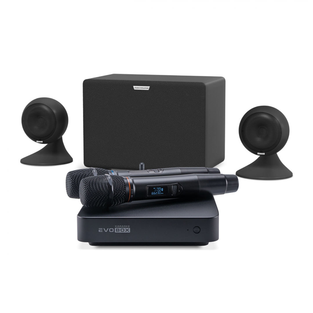 караоке-комплект EVOBOX Plus + EvoSound Sphere 2.1 в Гатчине