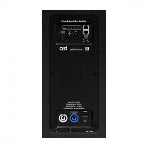 Активная акустическая система AST-310A в Гатчине