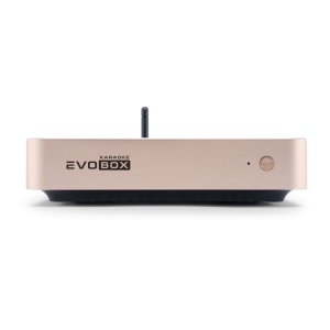 EVOBOX Classic караоке-система для дома в Гатчине