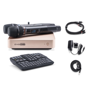 EVOBOX Classic караоке-система для дома в Гатчине