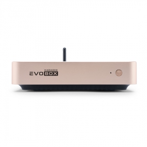 EVOBOX Plus караоке-система для дома в Гатчине