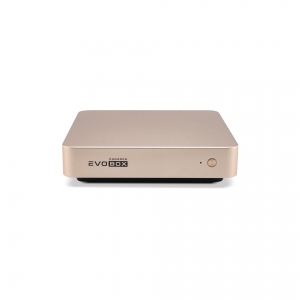 EVOBOX с микрофонами в Гатчине